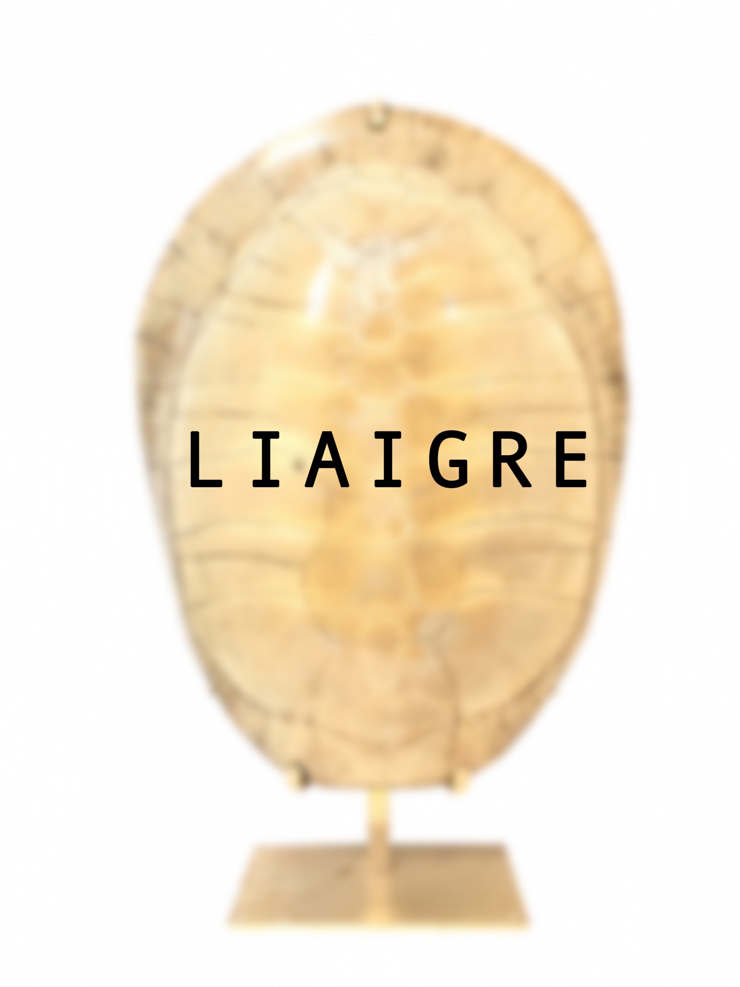 carapace-blanche-tortue-socle-laiton-or