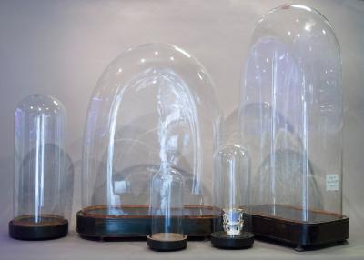 Ensemble de globes en verre anciens sur bases en bois noir sur fond gris